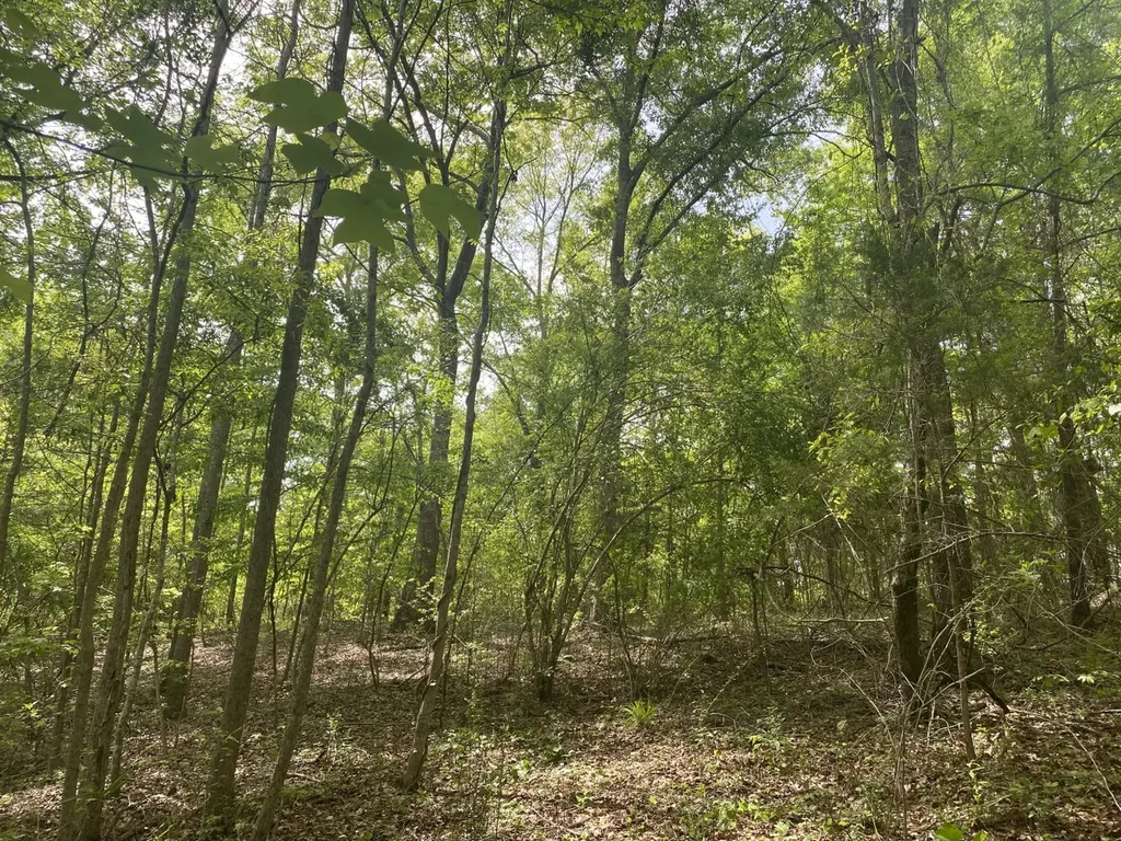 00 W Hickory Grove Road Lapine AL 36046