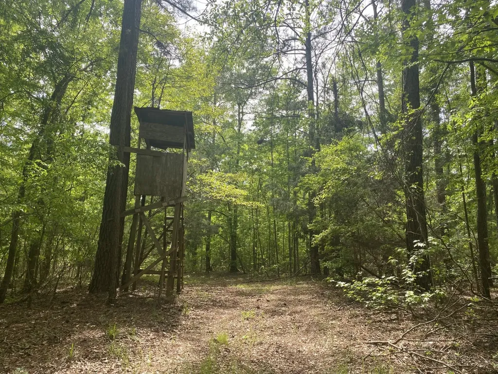 00 W Hickory Grove Road Lapine AL 36046