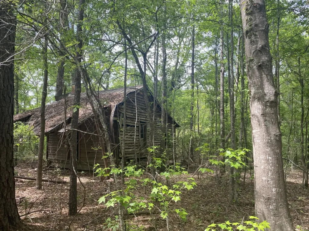 00 W Hickory Grove Road Lapine AL 36046