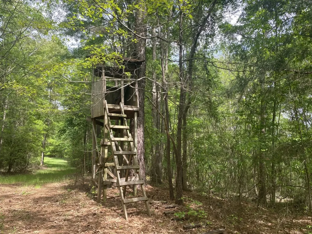 00 W Hickory Grove Road Lapine AL 36046