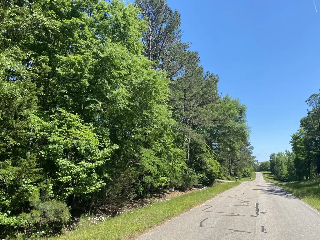 00 Butler Mill Road Lapine AL 36046