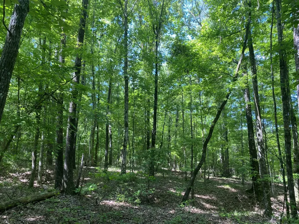 00 Butler Mill Road Lapine AL 36046