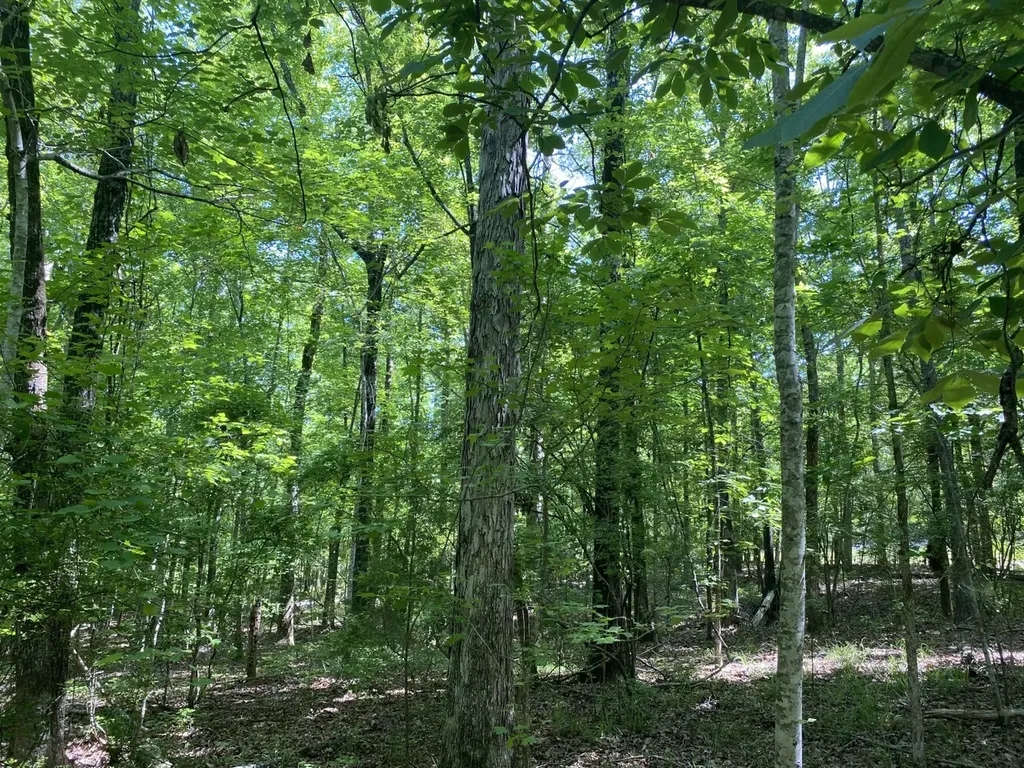 00 Butler Mill Road Lapine AL 36046