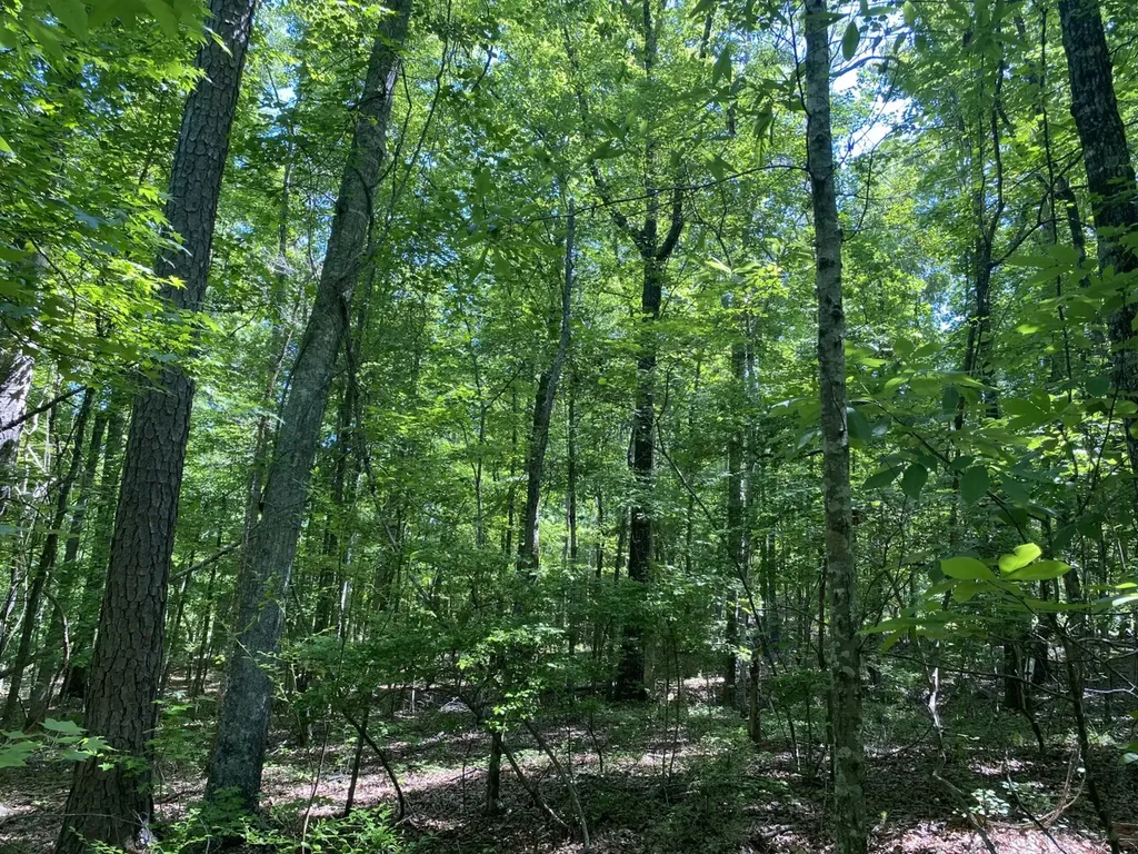 00 Butler Mill Road Lapine AL 36046