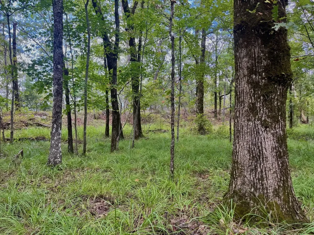 001 Rolling Hills Drive Chelsea AL 35043