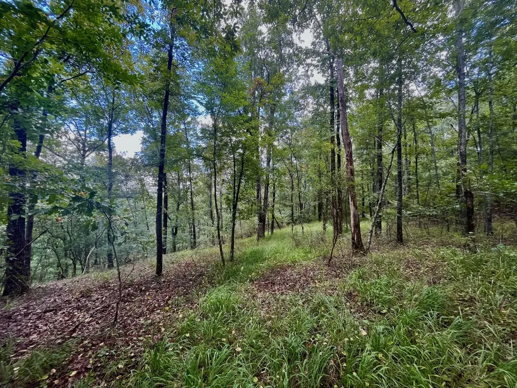 001 Rolling Hills Drive Chelsea AL 35043