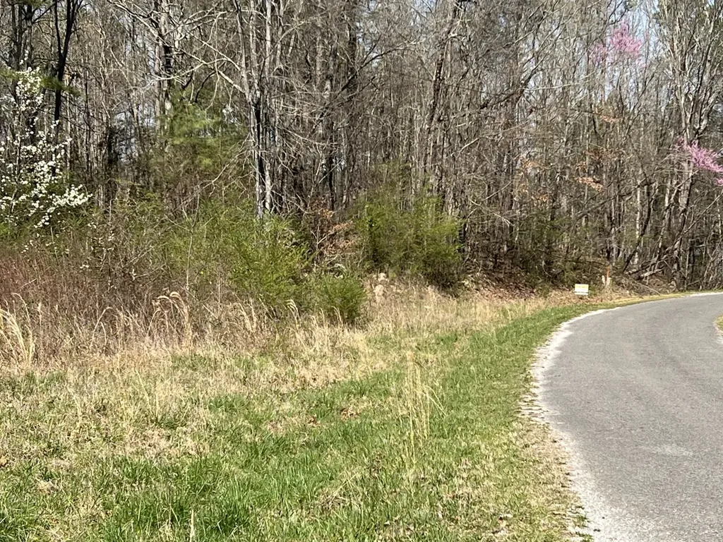 Co Road 599 Leesburg AL 35983