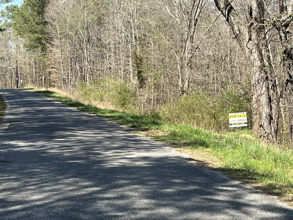 Co Road 599 Leesburg AL 35983