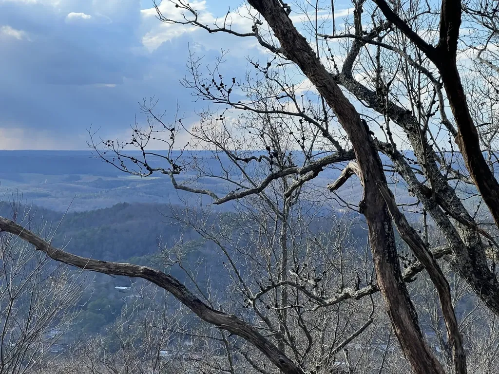 0 Dogtown Road Fort Payne AL 35967