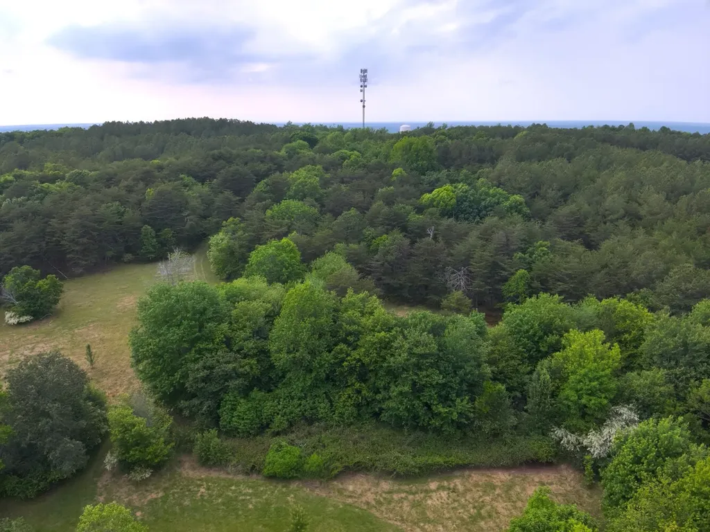 0 Dogtown Road Fort Payne AL 35967