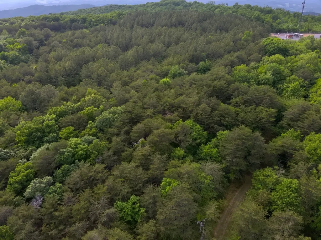 0 Dogtown Road Fort Payne AL 35967