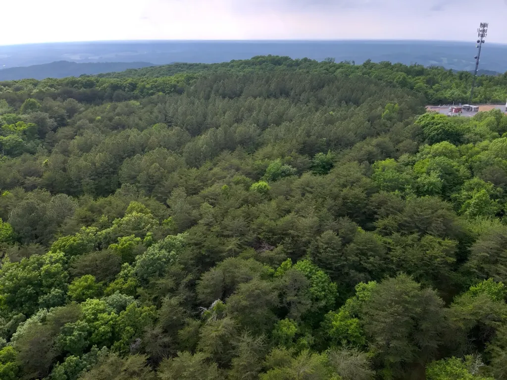 0 Dogtown Road Fort Payne AL 35967