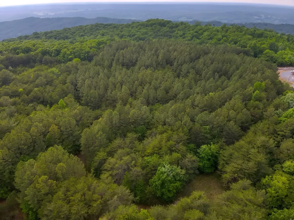 0 Dogtown Road Fort Payne AL 35967