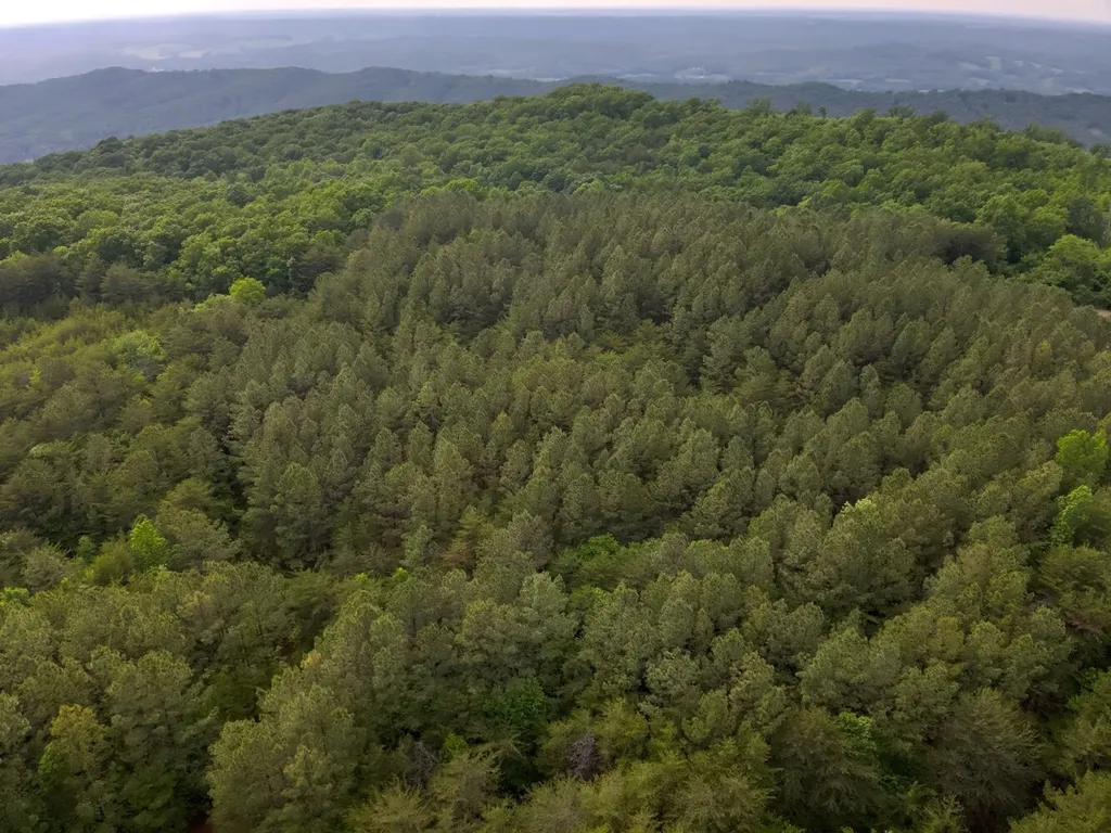 0 Dogtown Road Fort Payne AL 35967