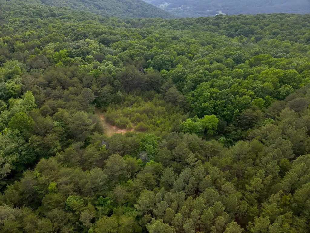 0 Dogtown Road Fort Payne AL 35967