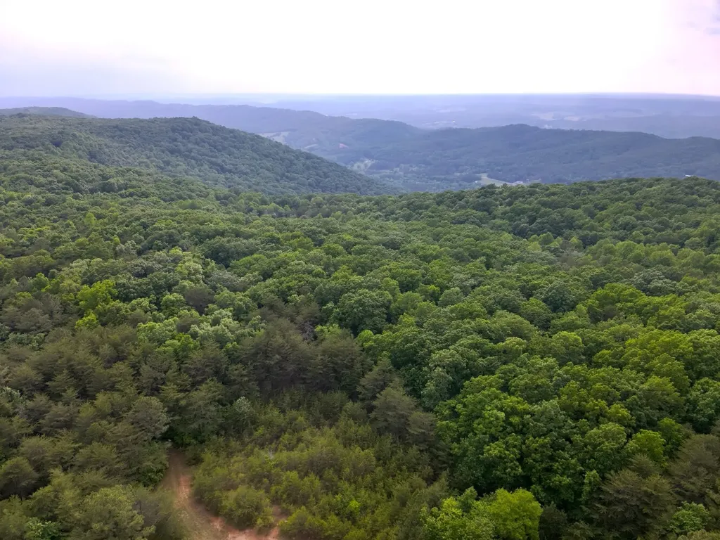 0 Dogtown Road Fort Payne AL 35967