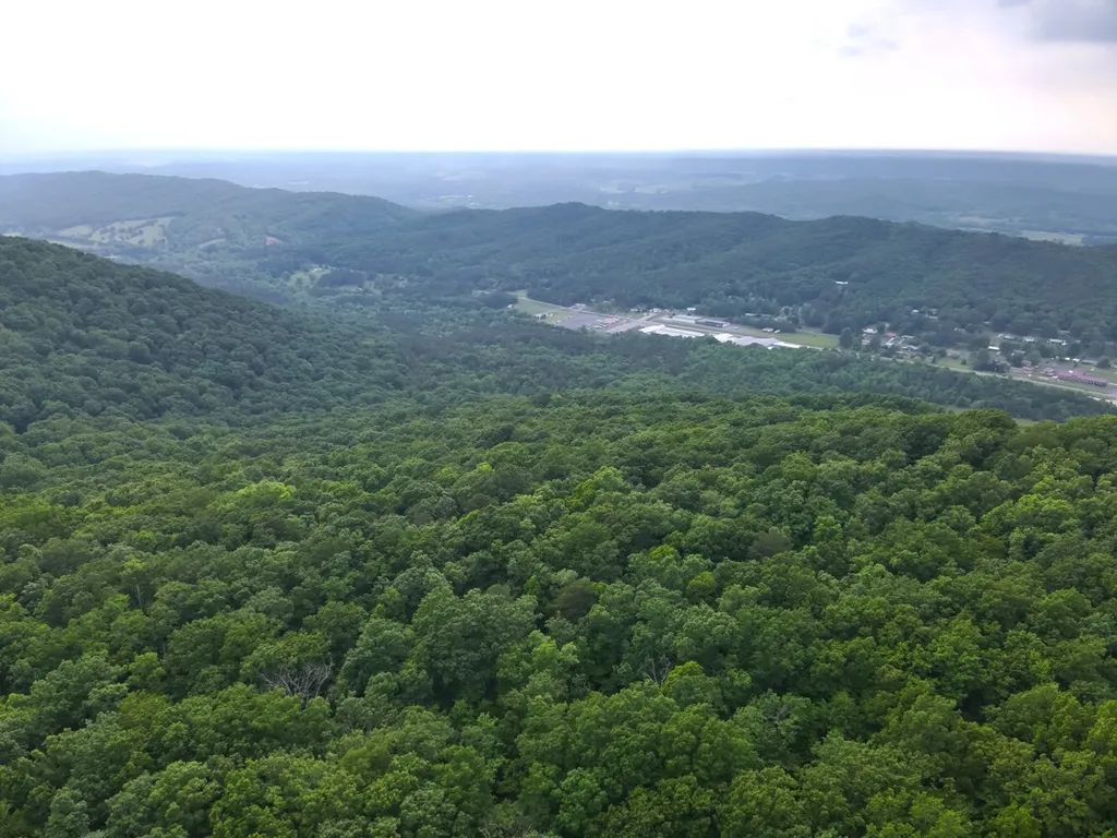 0 Dogtown Road Fort Payne AL 35967