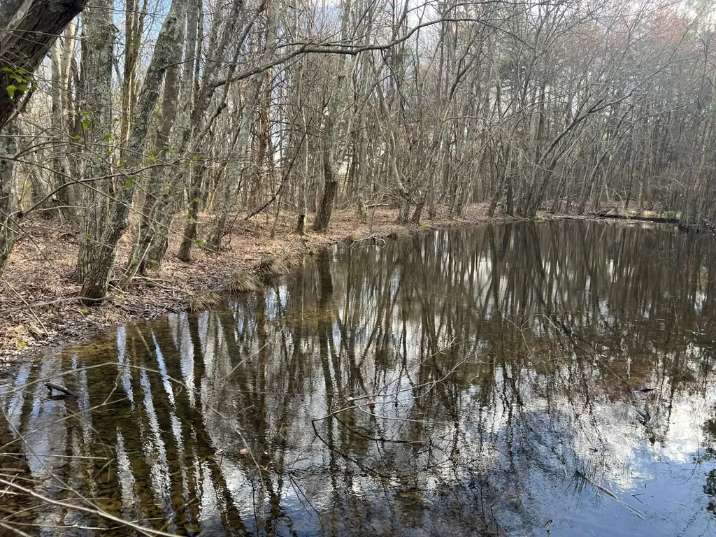 0 Dogtown Road Fort Payne AL 35967