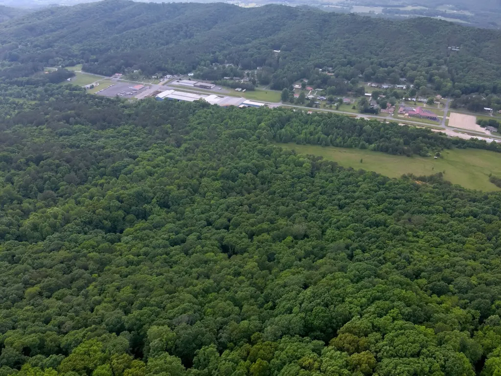 0 Dogtown Road Fort Payne AL 35967