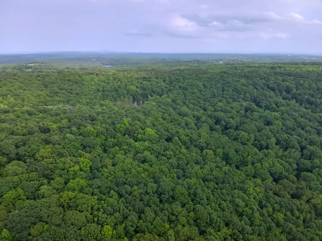 0 Dogtown Road Fort Payne AL 35967