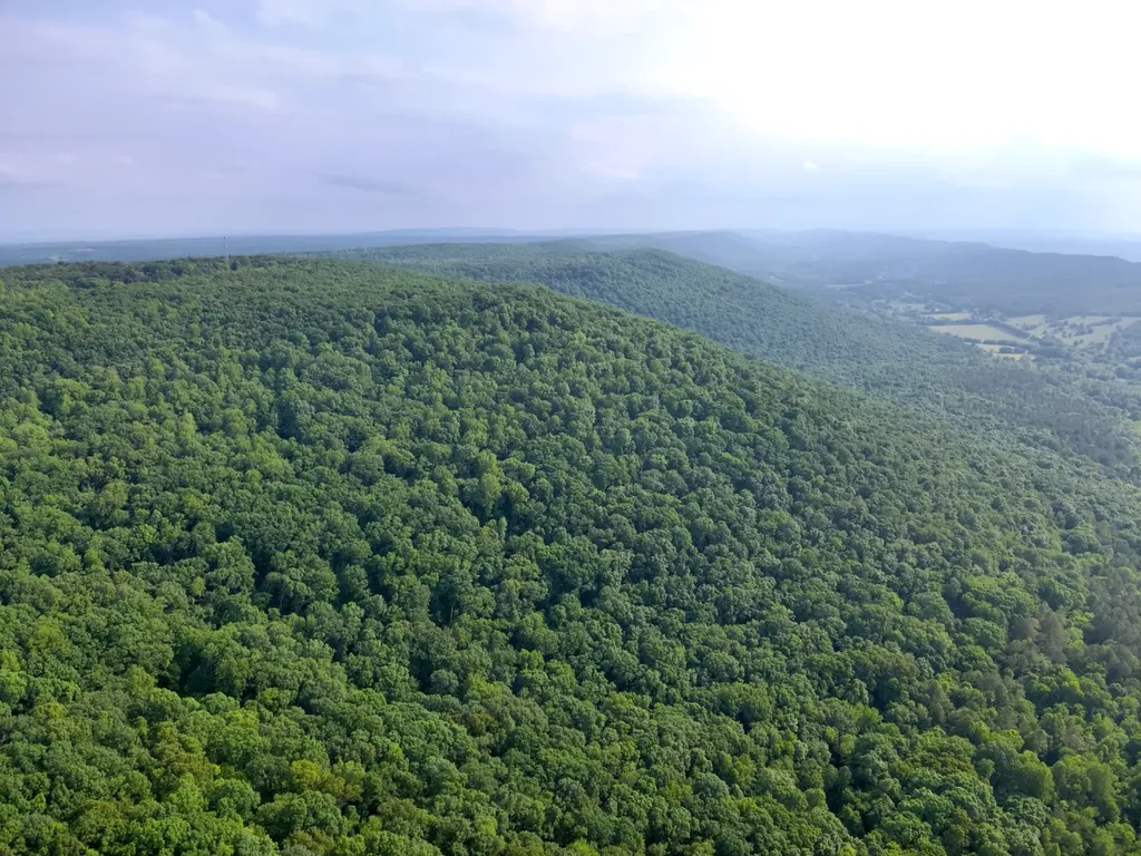 0 Dogtown Road Fort Payne AL 35967