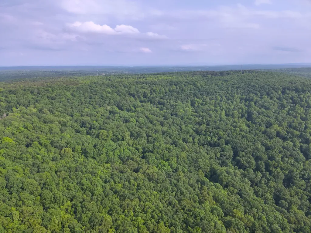 0 Dogtown Road Fort Payne AL 35967