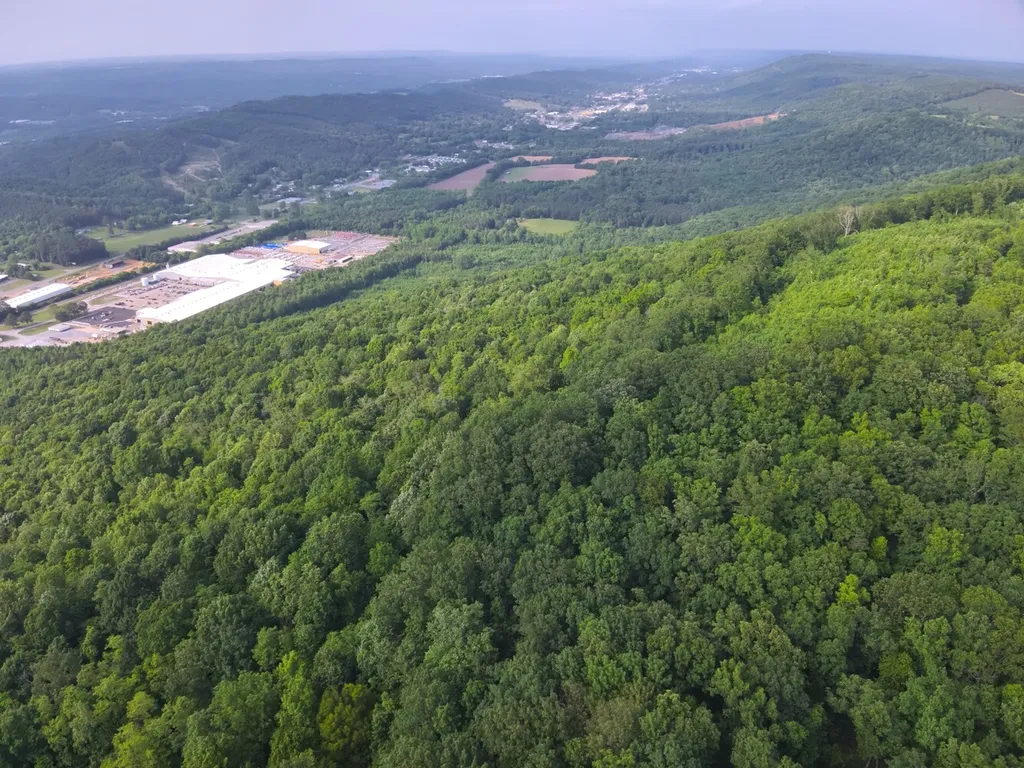 0 Dogtown Road Fort Payne AL 35967