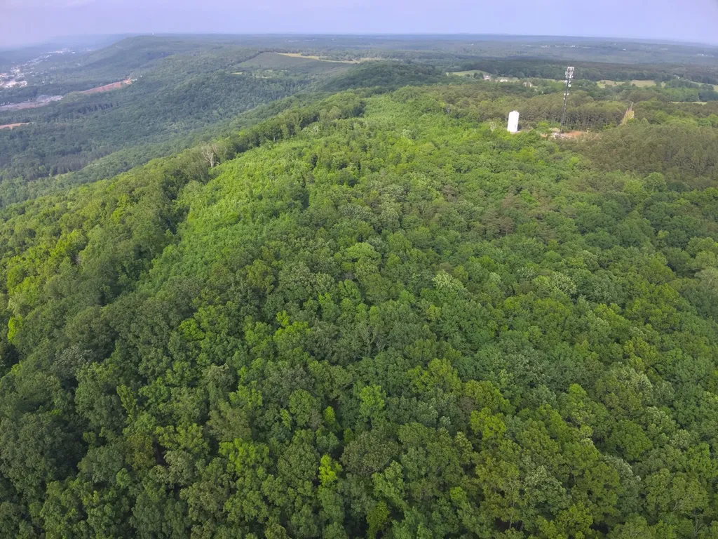 0 Dogtown Road Fort Payne AL 35967