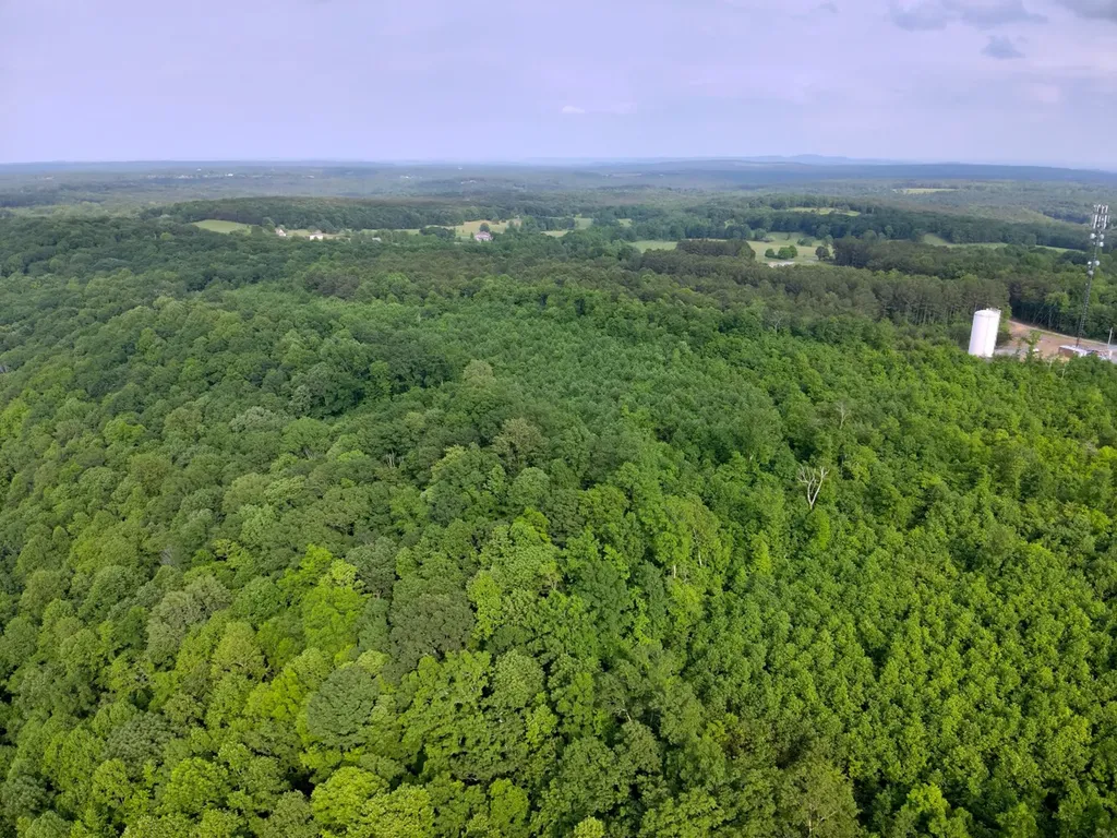 0 Dogtown Road Fort Payne AL 35967