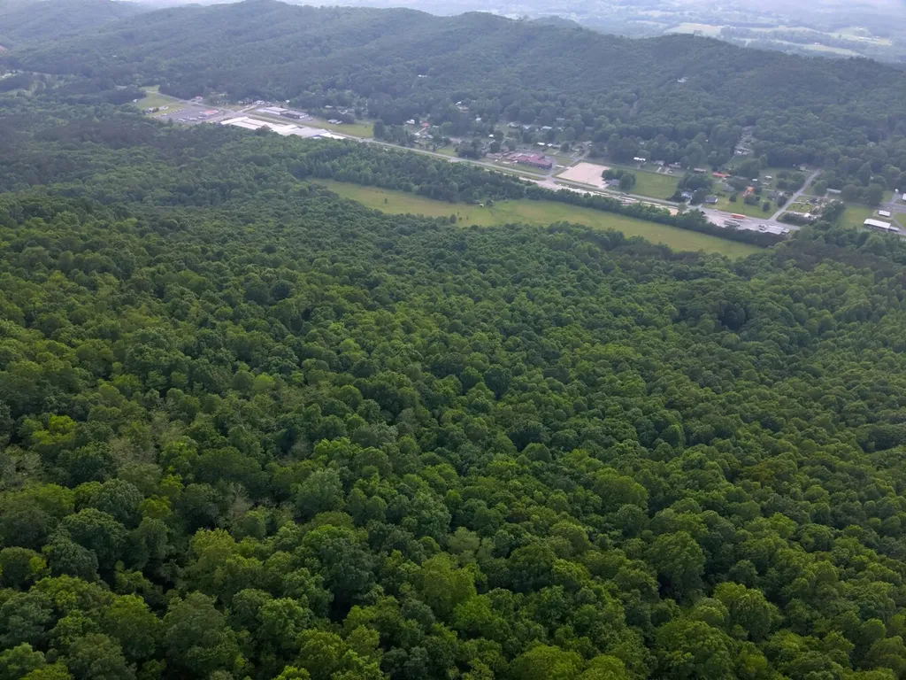 0 Dogtown Road Fort Payne AL 35967