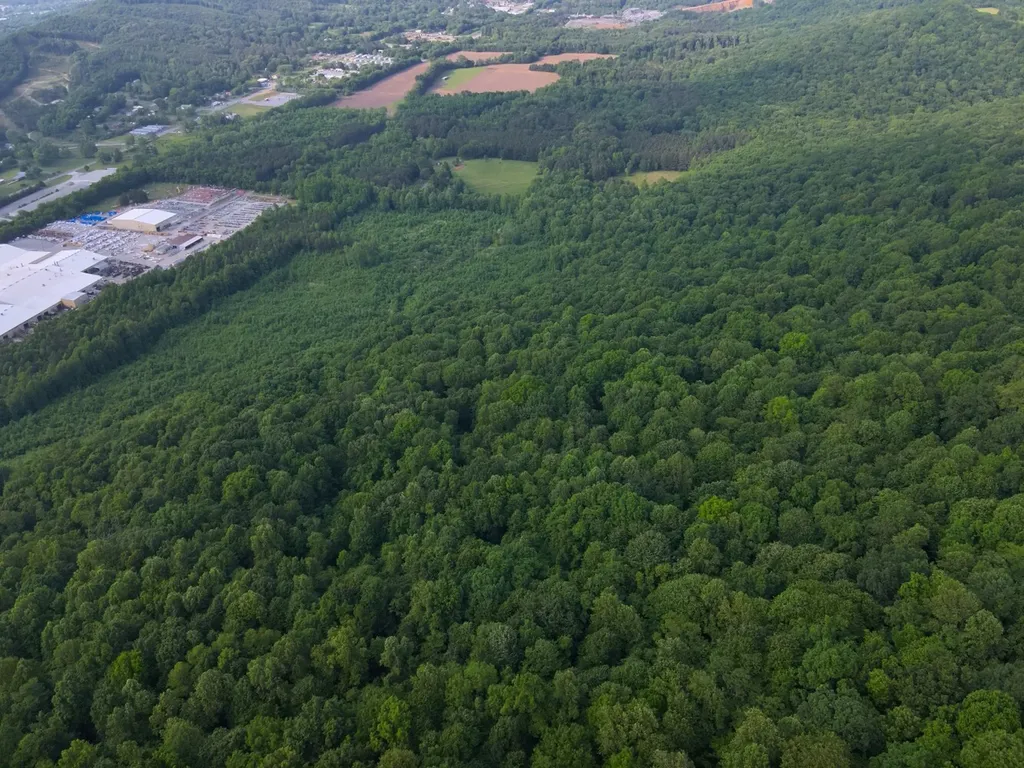 0 Dogtown Road Fort Payne AL 35967