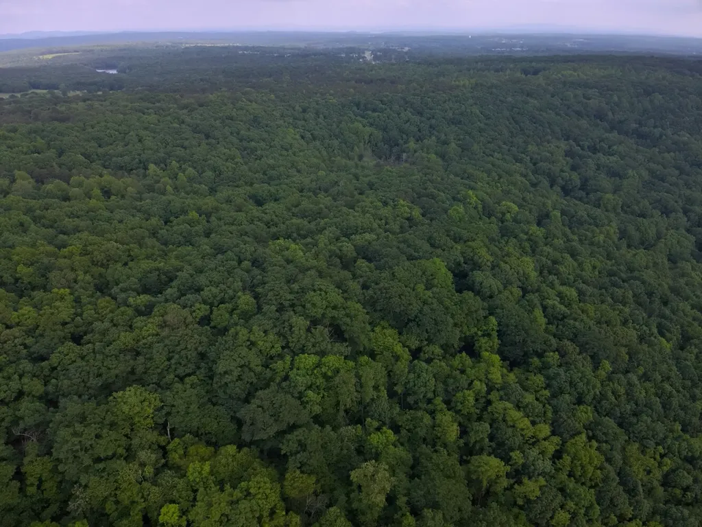 0 Dogtown Road Fort Payne AL 35967