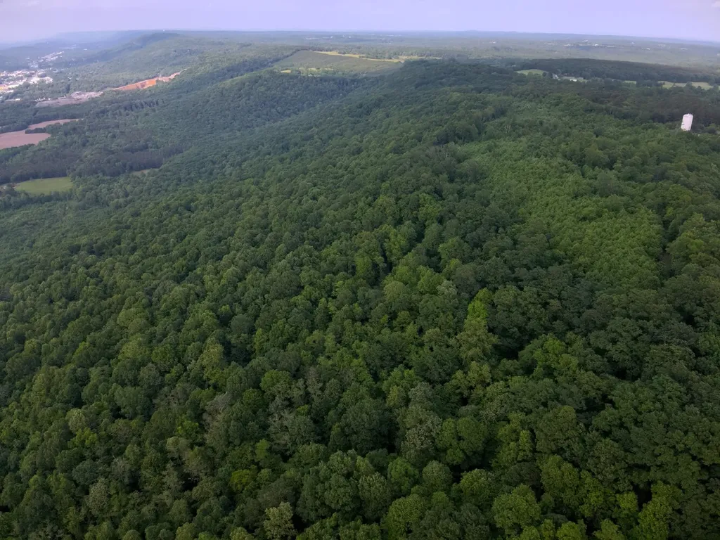 0 Dogtown Road Fort Payne AL 35967