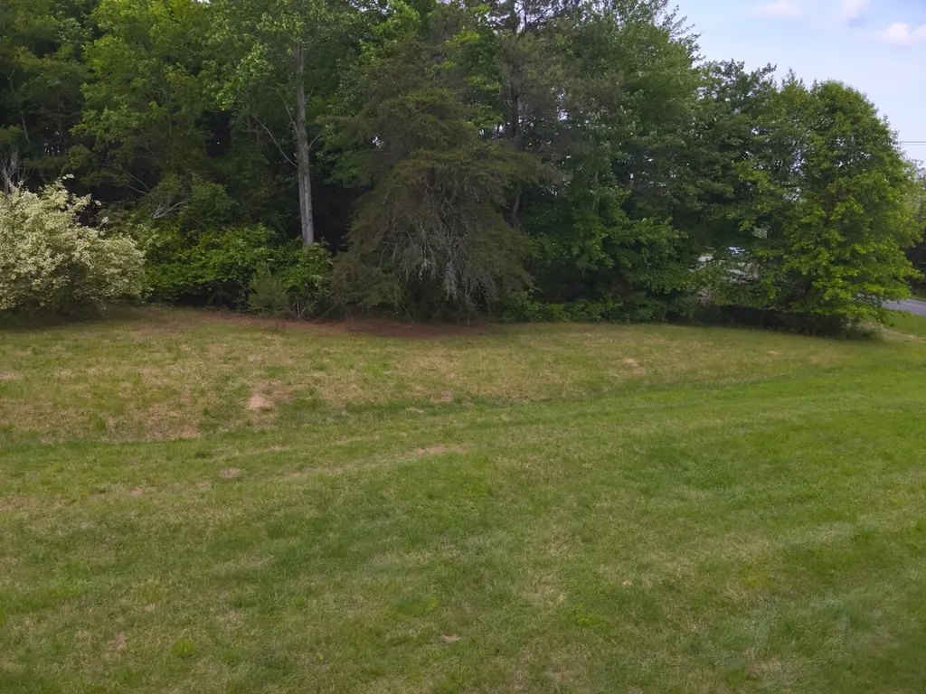 0 Dogtown Road Fort Payne AL 35967