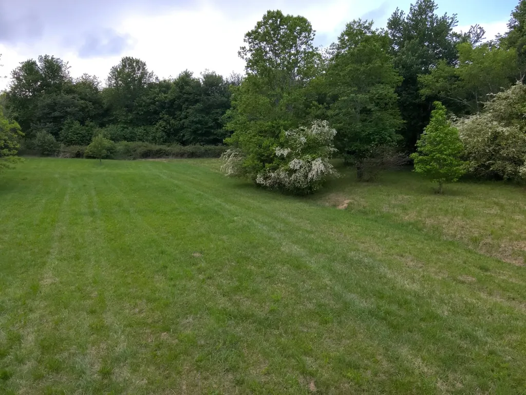 0 Dogtown Road Fort Payne AL 35967