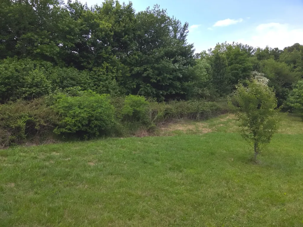 0 Dogtown Road Fort Payne AL 35967