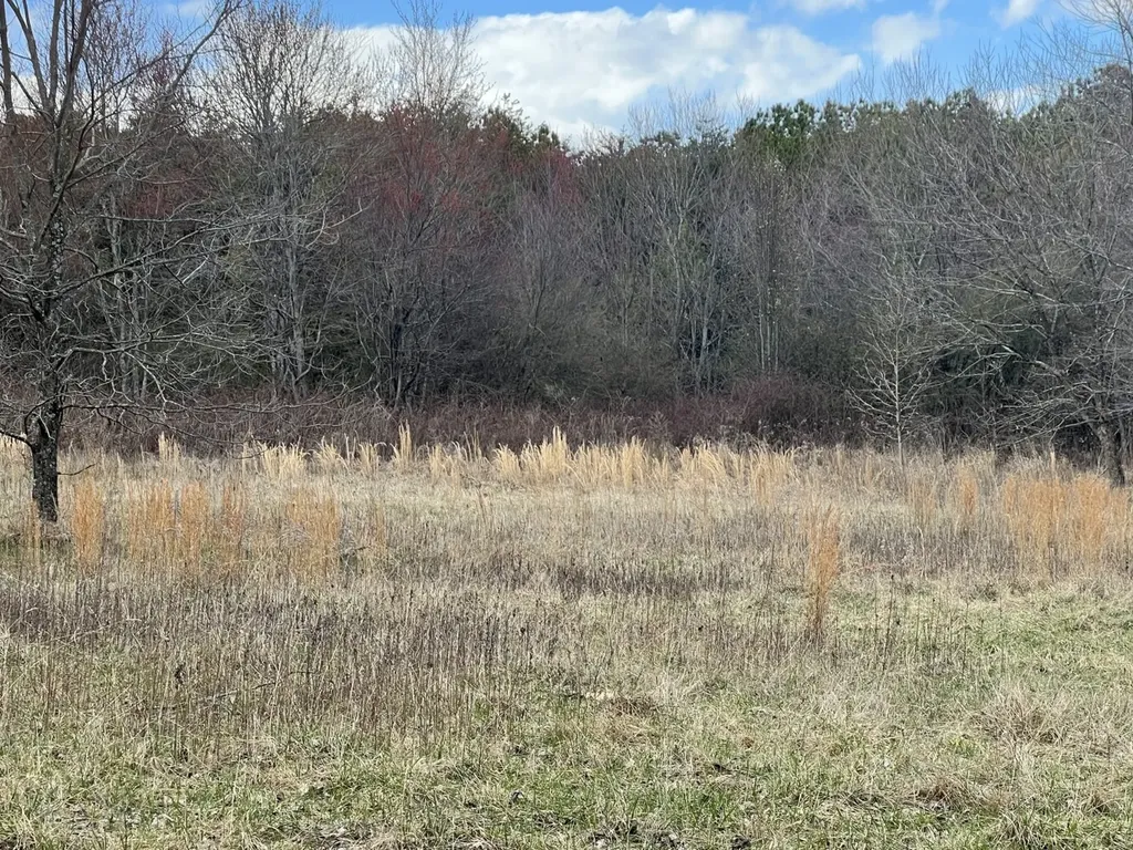 0 Dogtown Road Fort Payne AL 35967