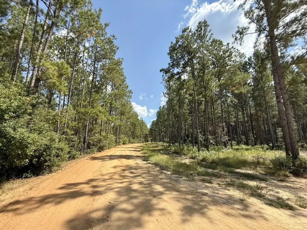 0 County Road 64 Robertsdale AL 36507