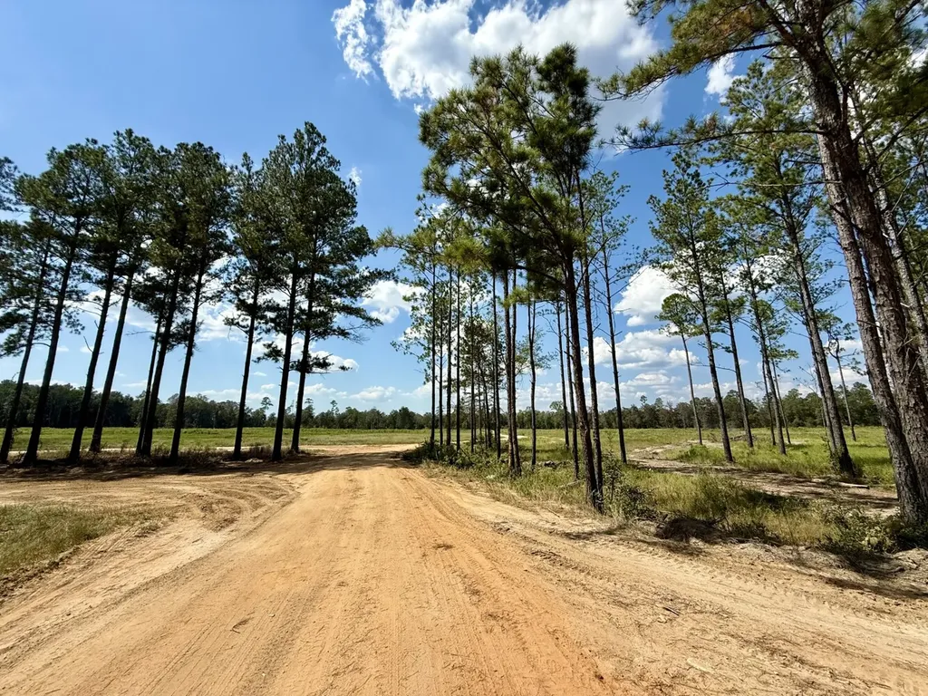 0 County Road 64 Robertsdale AL 36507