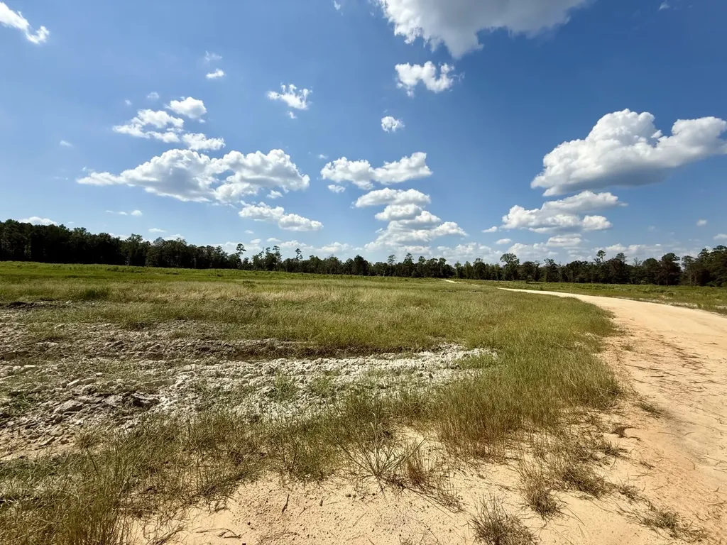 0 County Road 64 Robertsdale AL 36507