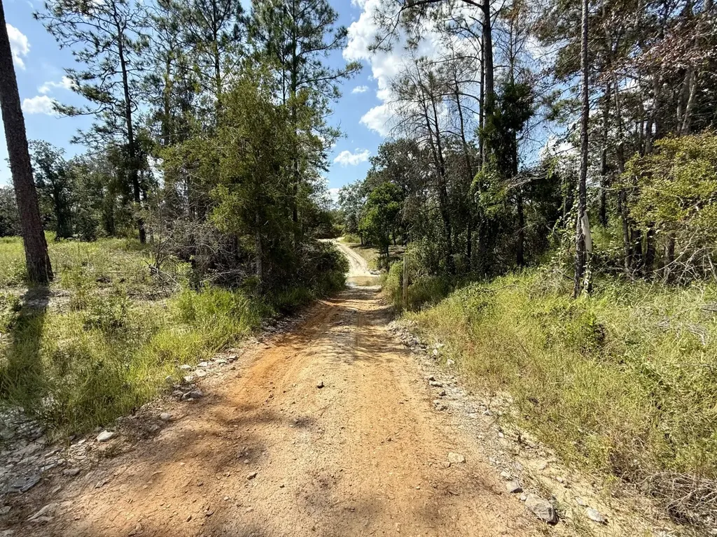 0 County Road 64 Robertsdale AL 36507