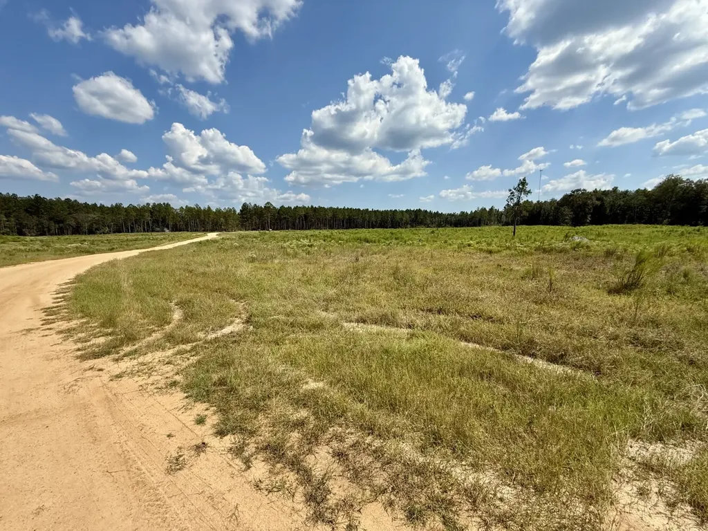 0 County Road 64 Robertsdale AL 36507