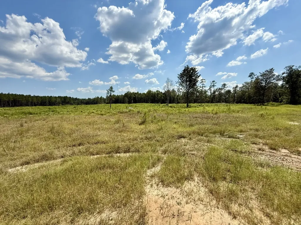 0 County Road 64 Robertsdale AL 36507