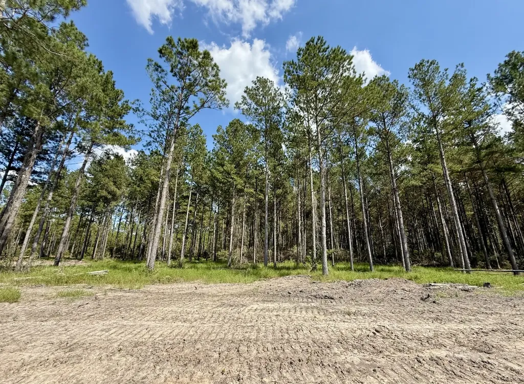 0 County Road 64 Robertsdale AL 36507