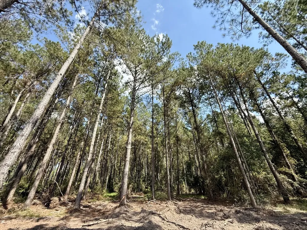 0 County Road 64 Robertsdale AL 36507