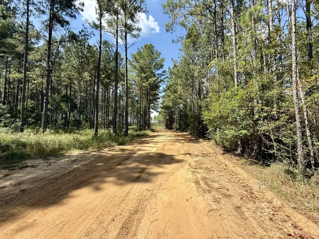 0 County Road 64 Robertsdale AL 36507