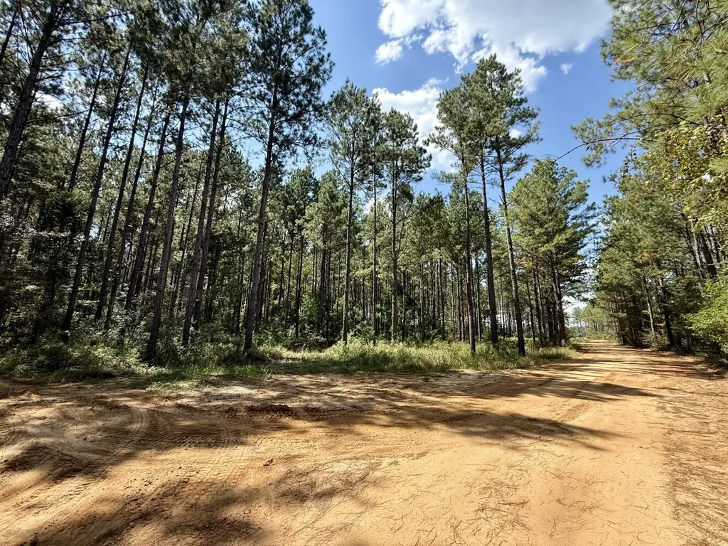 0 County Road 64 Robertsdale AL 36507