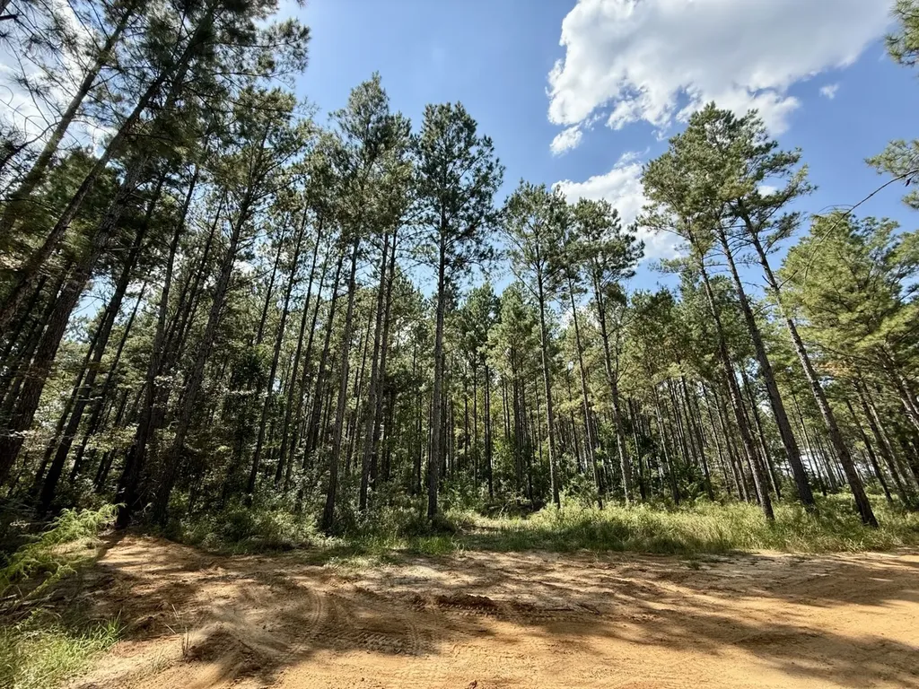 0 County Road 64 Robertsdale AL 36507