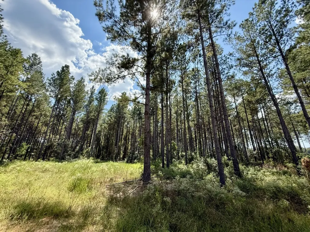 0 County Road 64 Robertsdale AL 36507