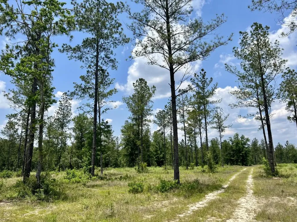 0 County Road 64 Robertsdale AL 36567